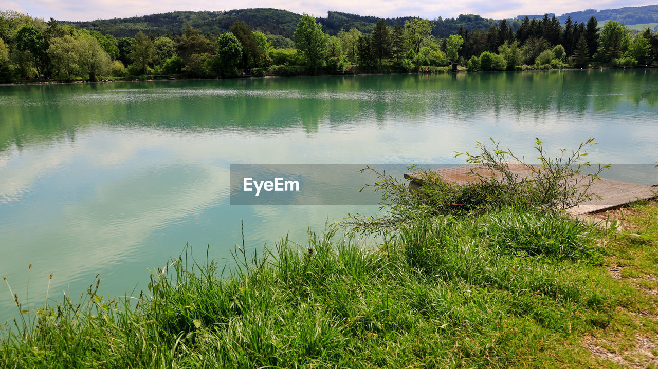 SCENIC VIEW OF LAKE AND TREES