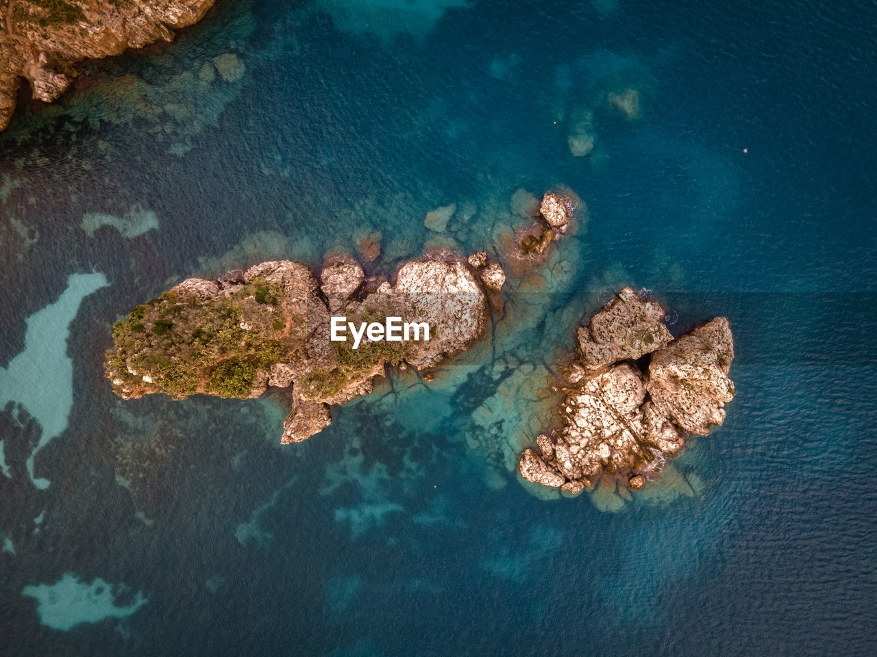 HIGH ANGLE VIEW OF ANIMAL ON ROCK