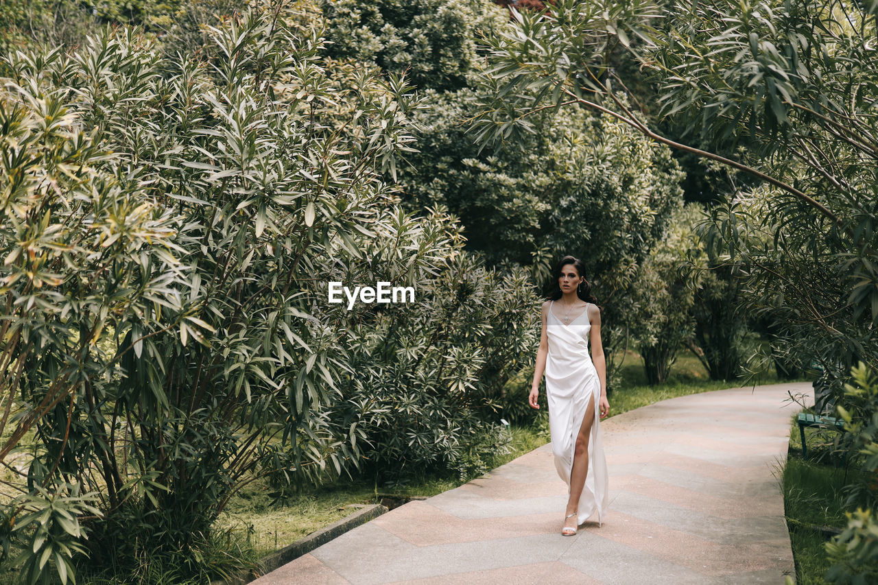 An elegant young woman bride in a wedding dress walks through a green park among plants and trees