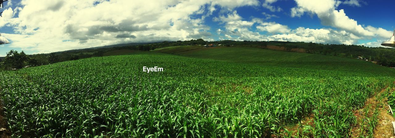 Scenic view of field against cloudy sky