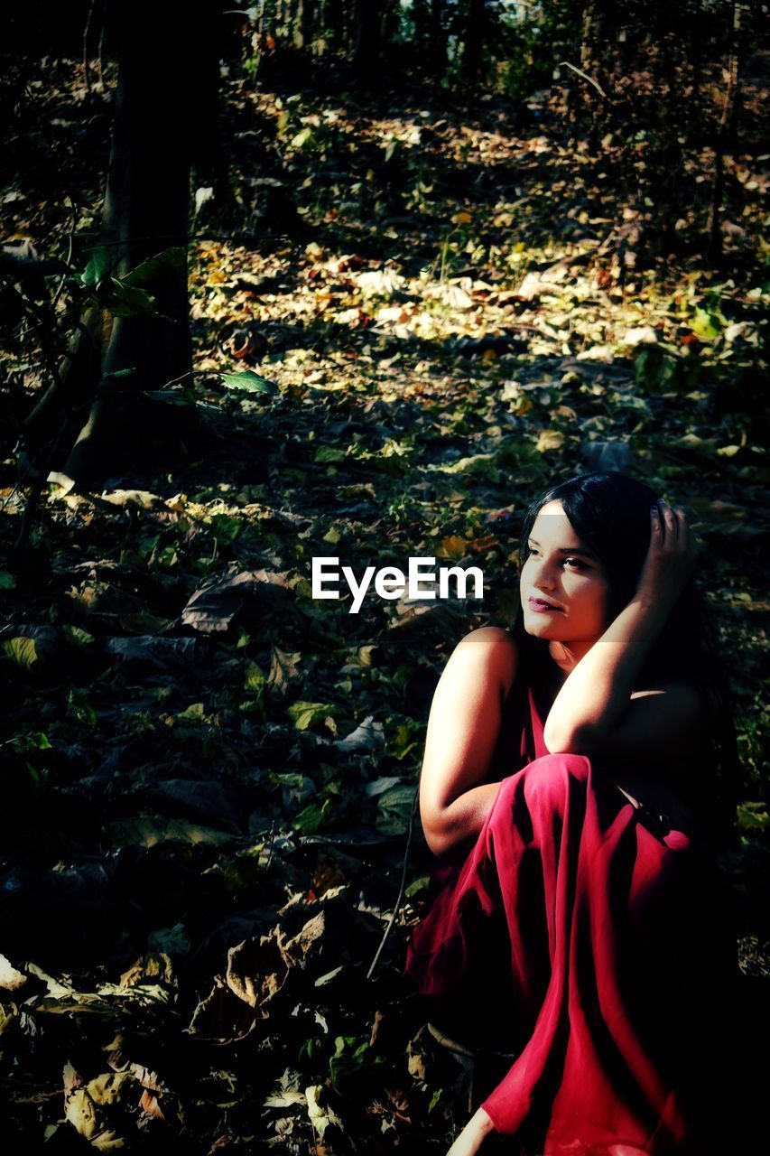 High angle view of young woman looking away while sitting on land i forest