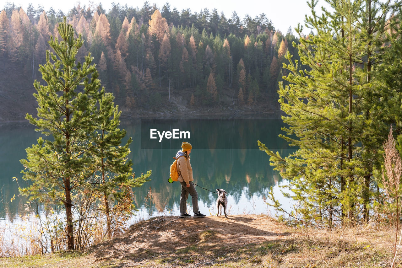 Young woman walking with mixed breed bedlington whippet dog on lake against autumn forest