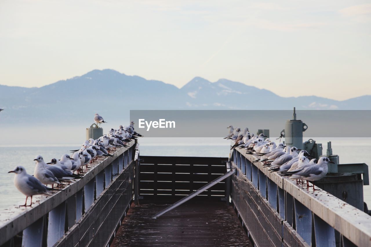 Scenic view of pier over lake