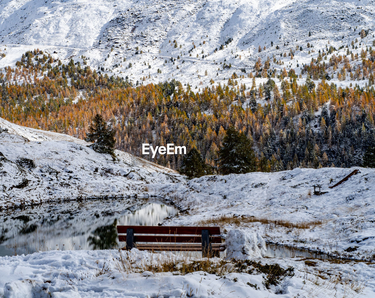 Snow covered field by trees against mountain