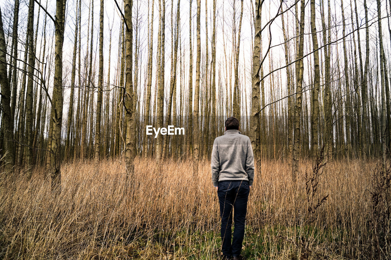 Rear view of man standing in forest