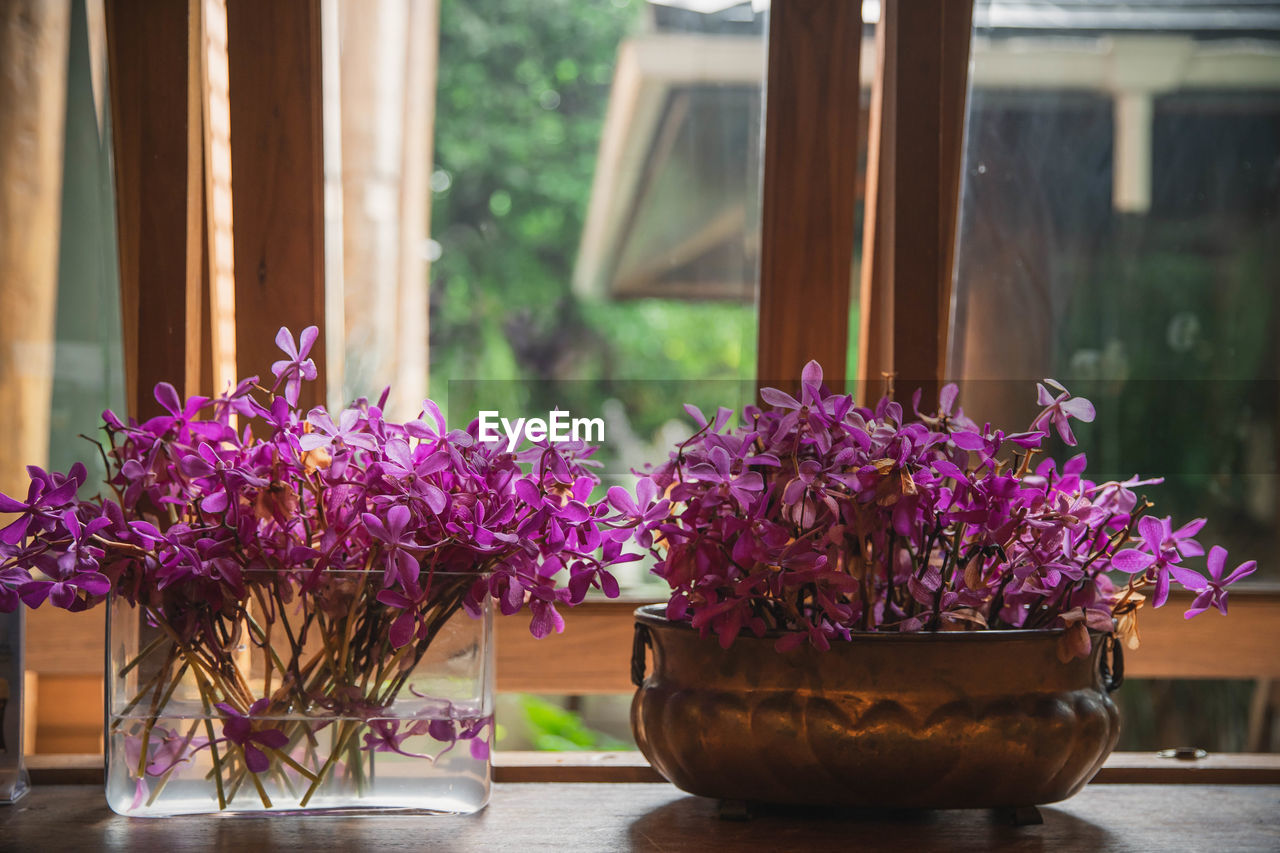 CLOSE-UP OF PINK FLOWER POT ON TABLE AGAINST WINDOW