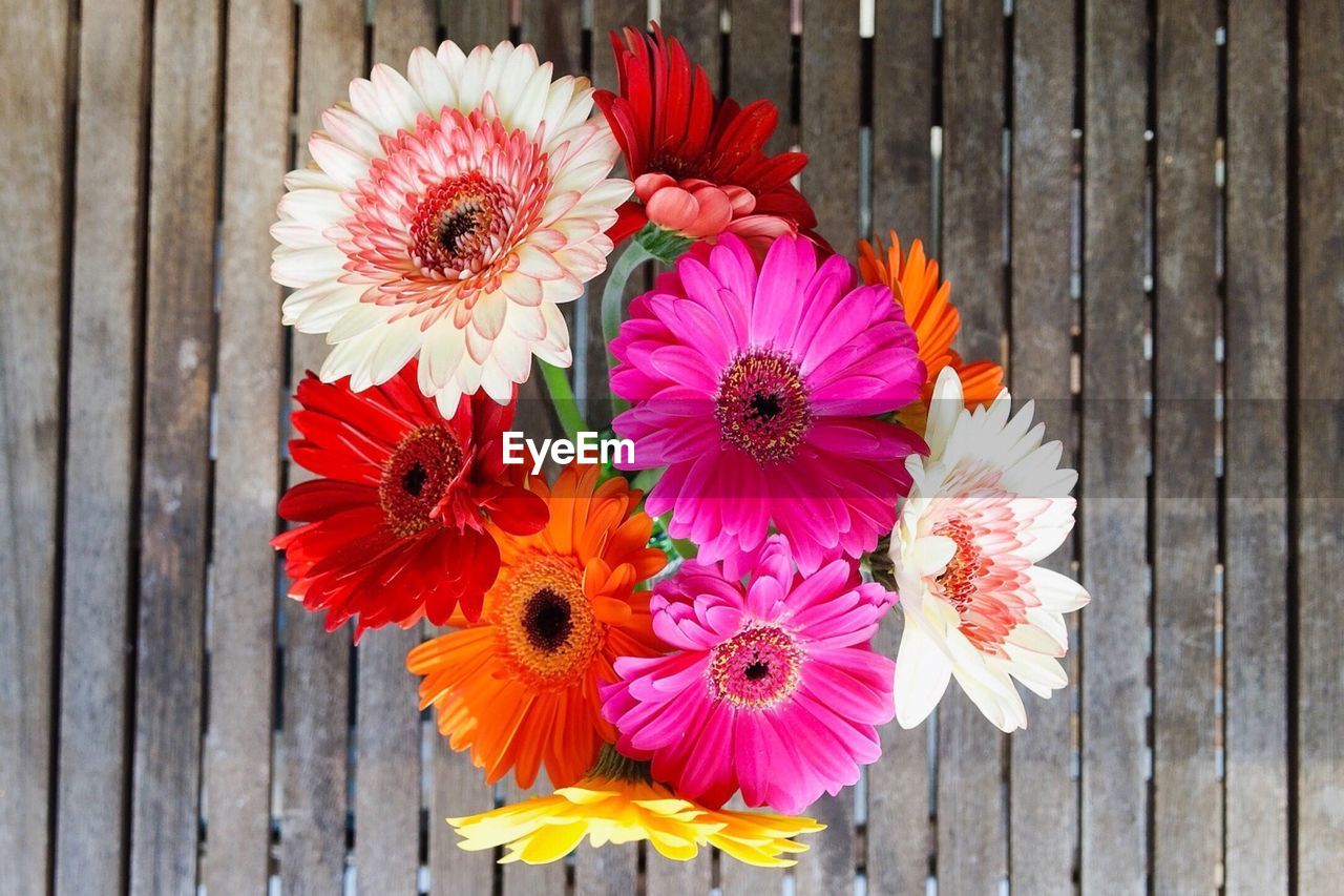 Directly above shot of colorful gerbera daisies on wooden table