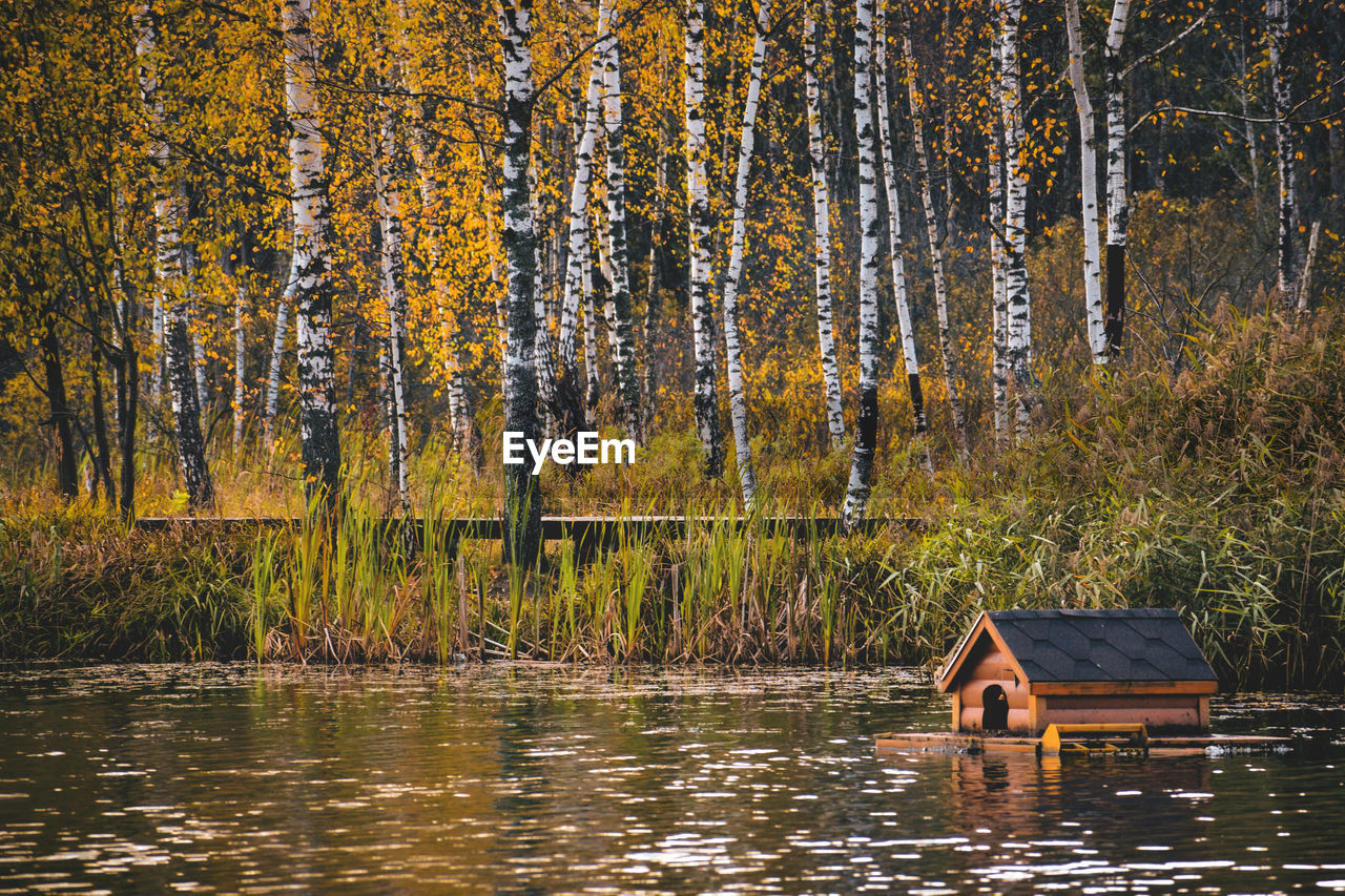 SCENIC VIEW OF LAKE AMIDST TREES IN FOREST