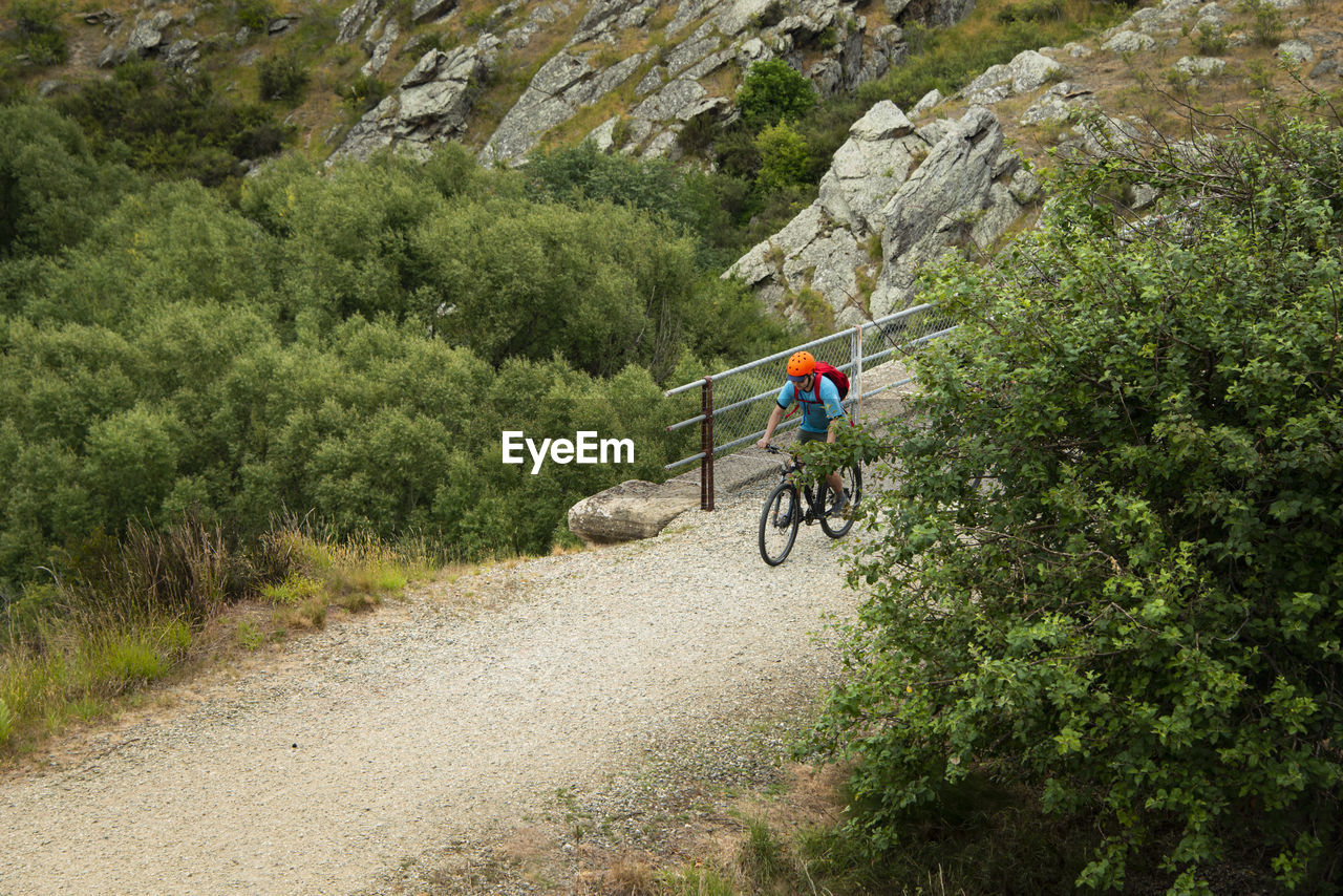 MAN RIDING BICYCLE ON PLANTS