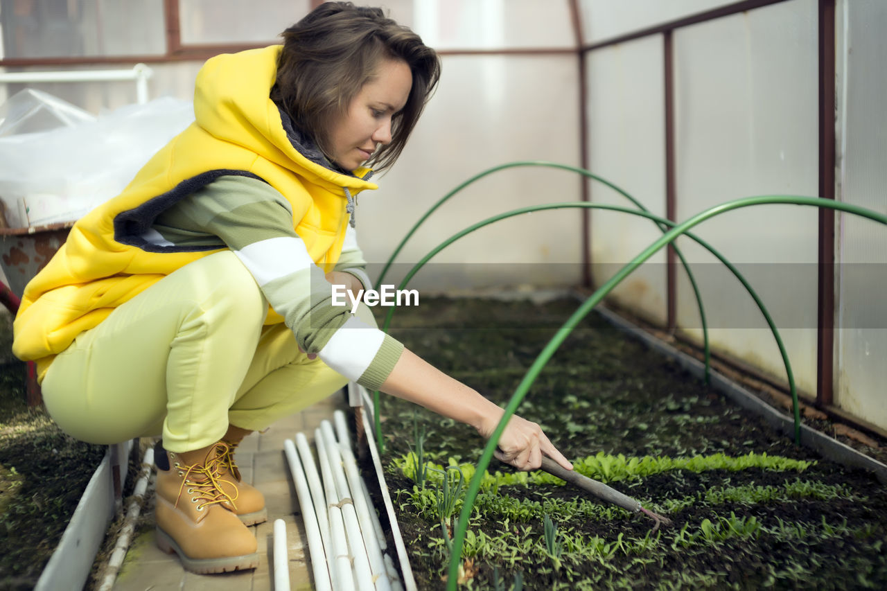 Side view of woman loosening soil with gardening fork while crouching in greenhouse