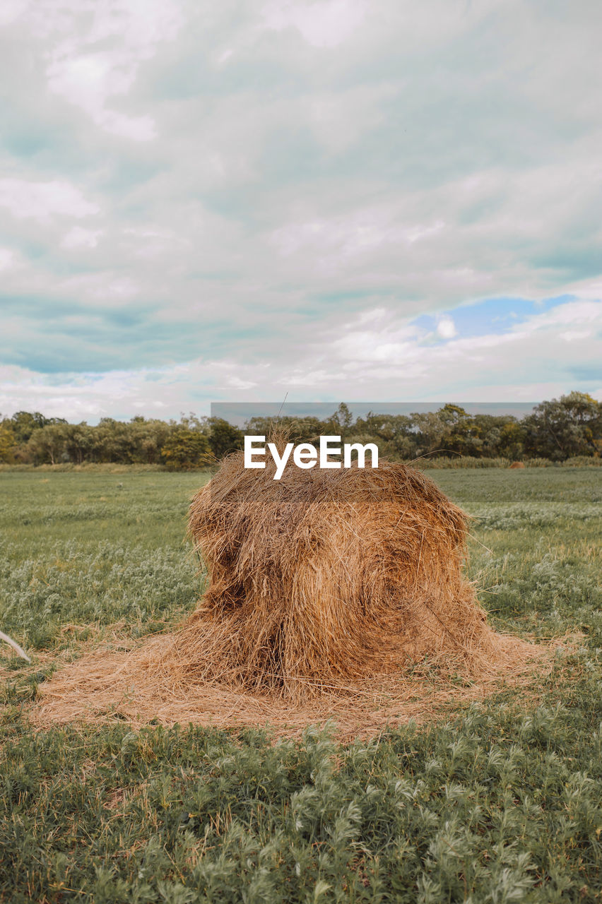 Hay bales on field against sky