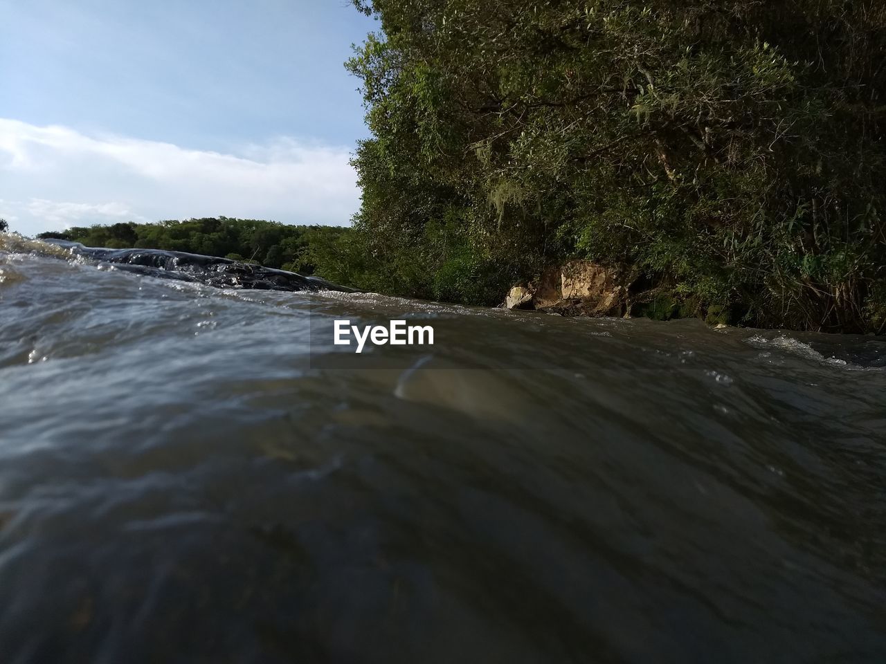 SURFACE LEVEL OF RIVER FLOWING AMIDST TREES