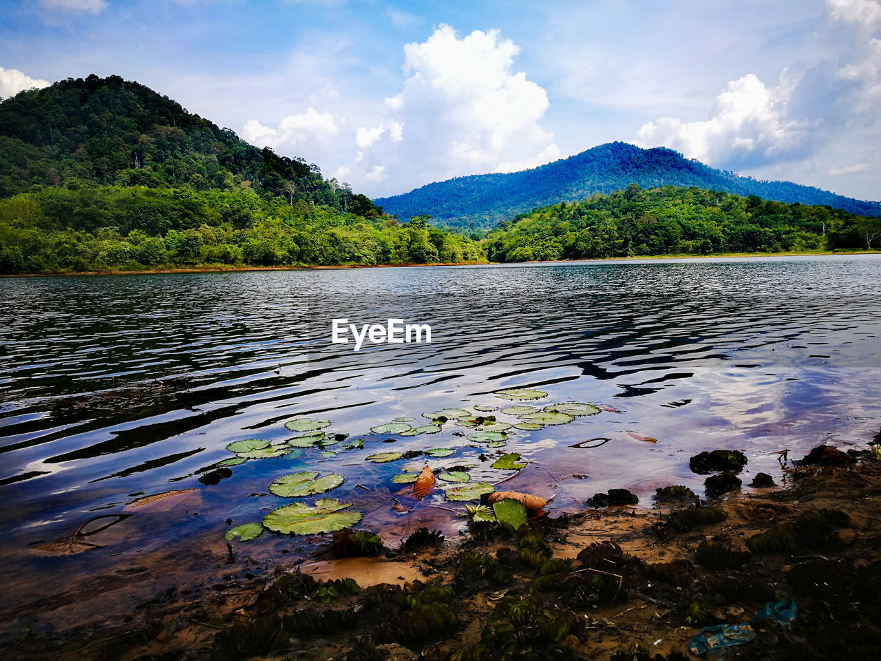 SCENIC VIEW OF LAKE BY TREES AGAINST SKY