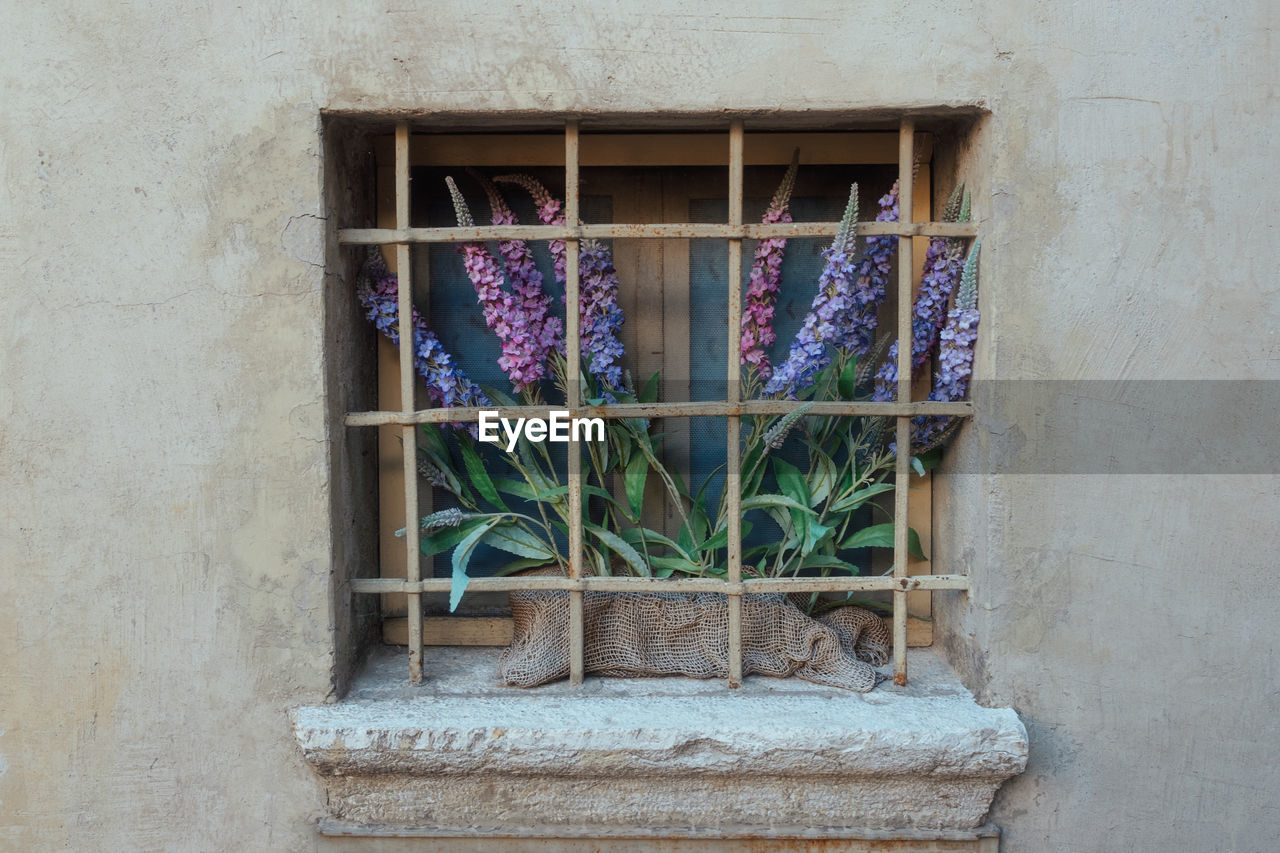 closed window of abandoned house