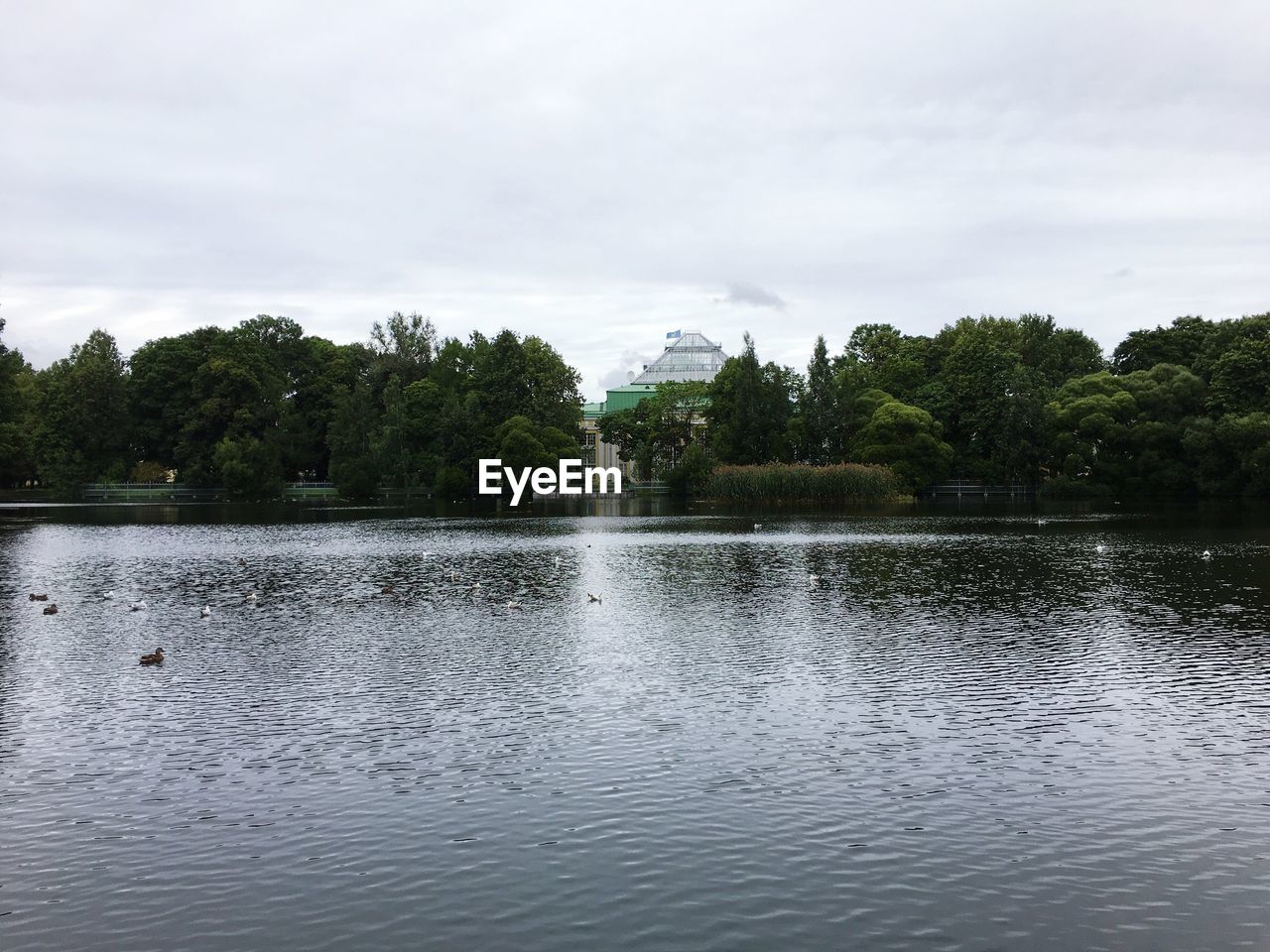 SCENIC VIEW OF LAKE AGAINST TREES