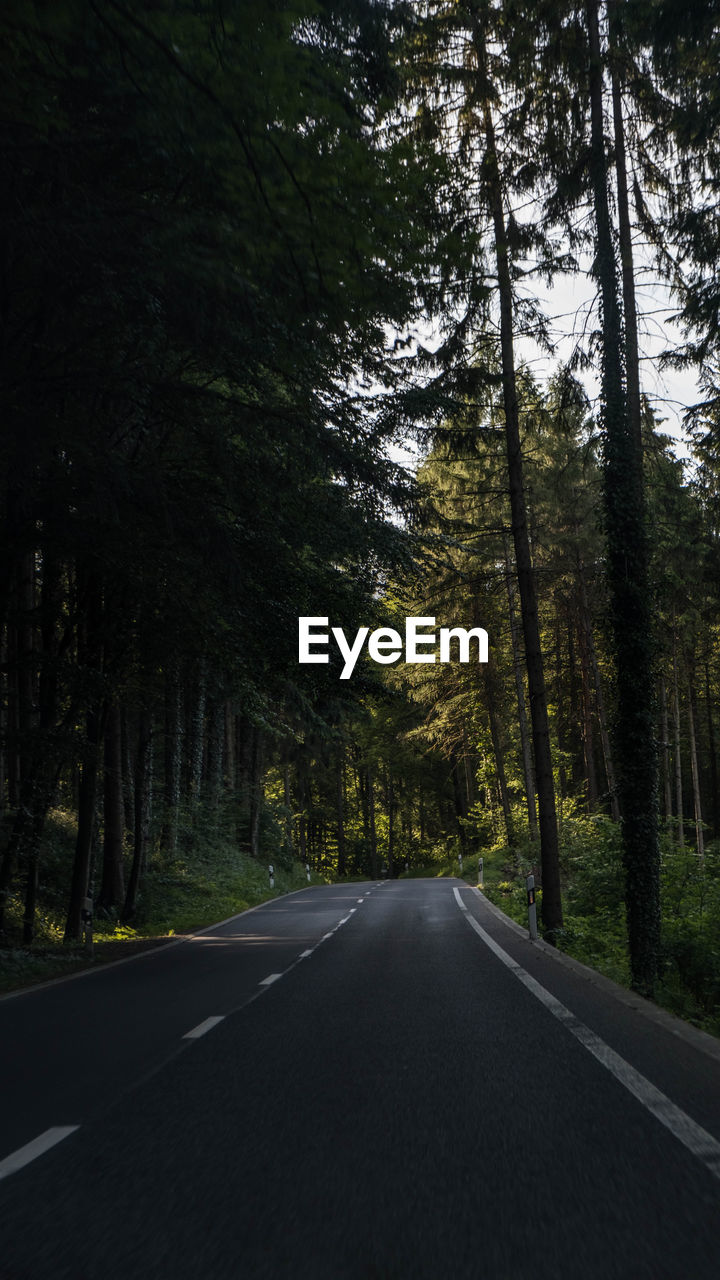 Empty road amidst trees in forest