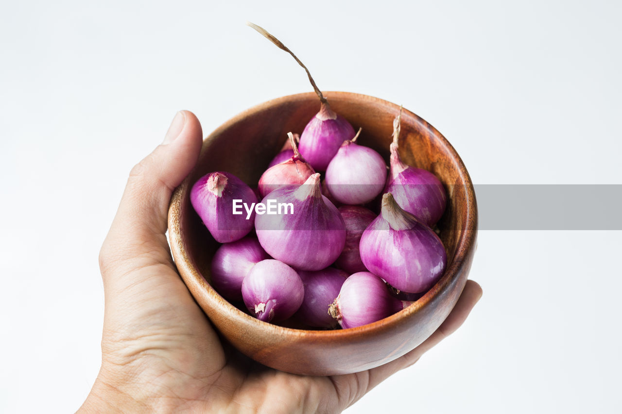 Fresh shallots-red onions on the white background