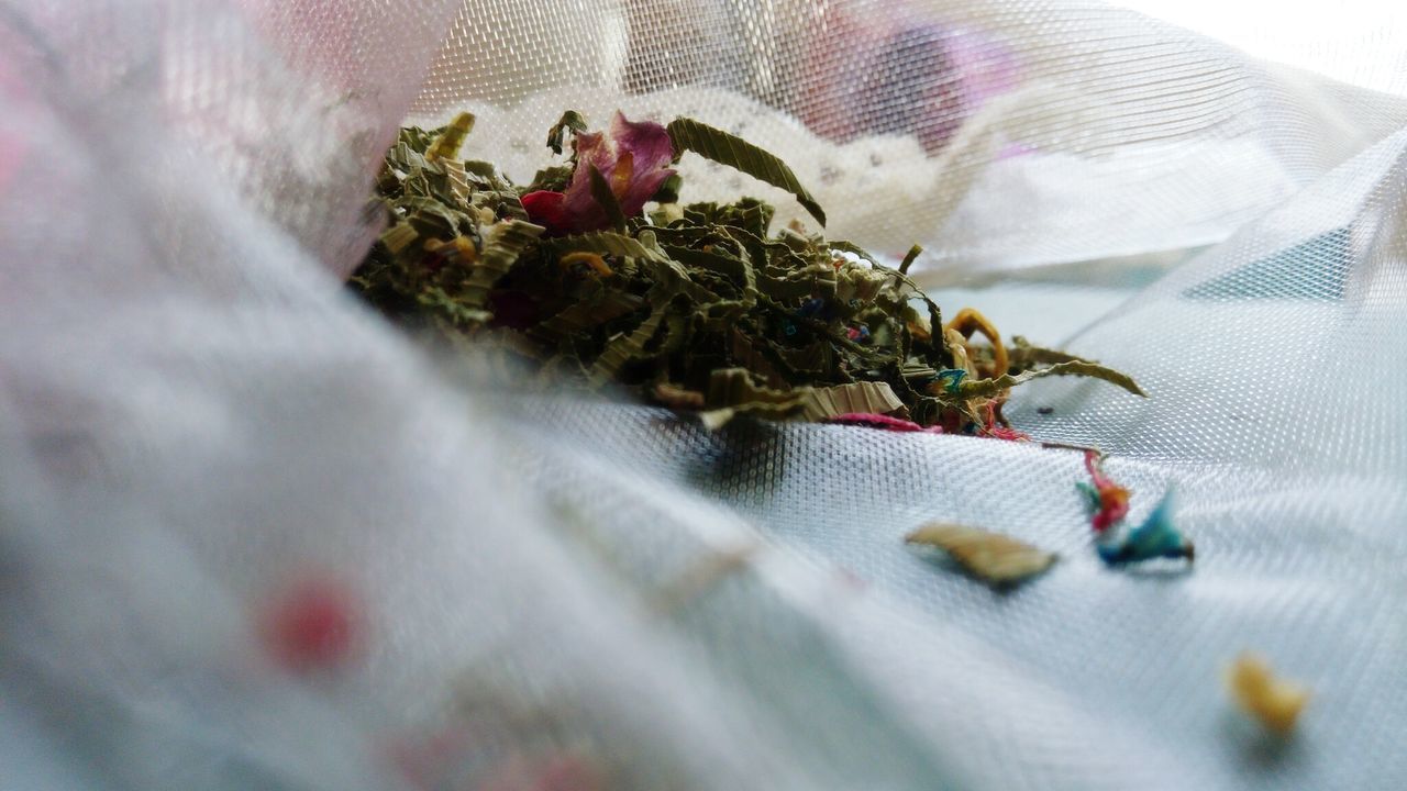 Close-up of marijuana on fabric