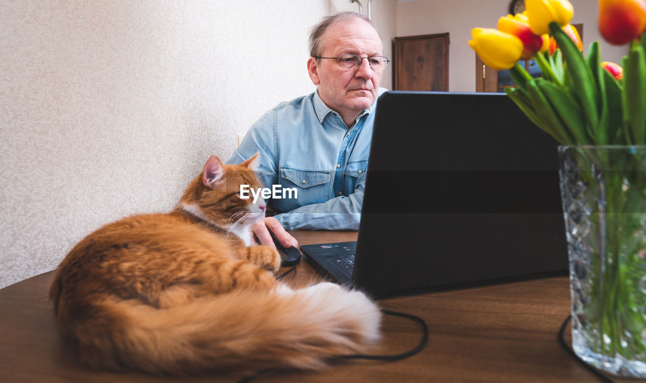 A mature man works online from home. cat sits near him.