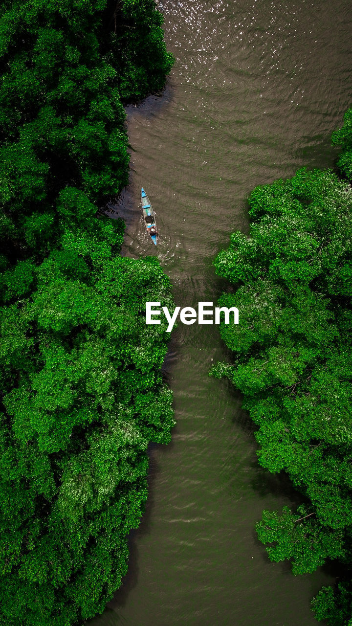 HIGH ANGLE VIEW OF RIVER AMIDST TREES