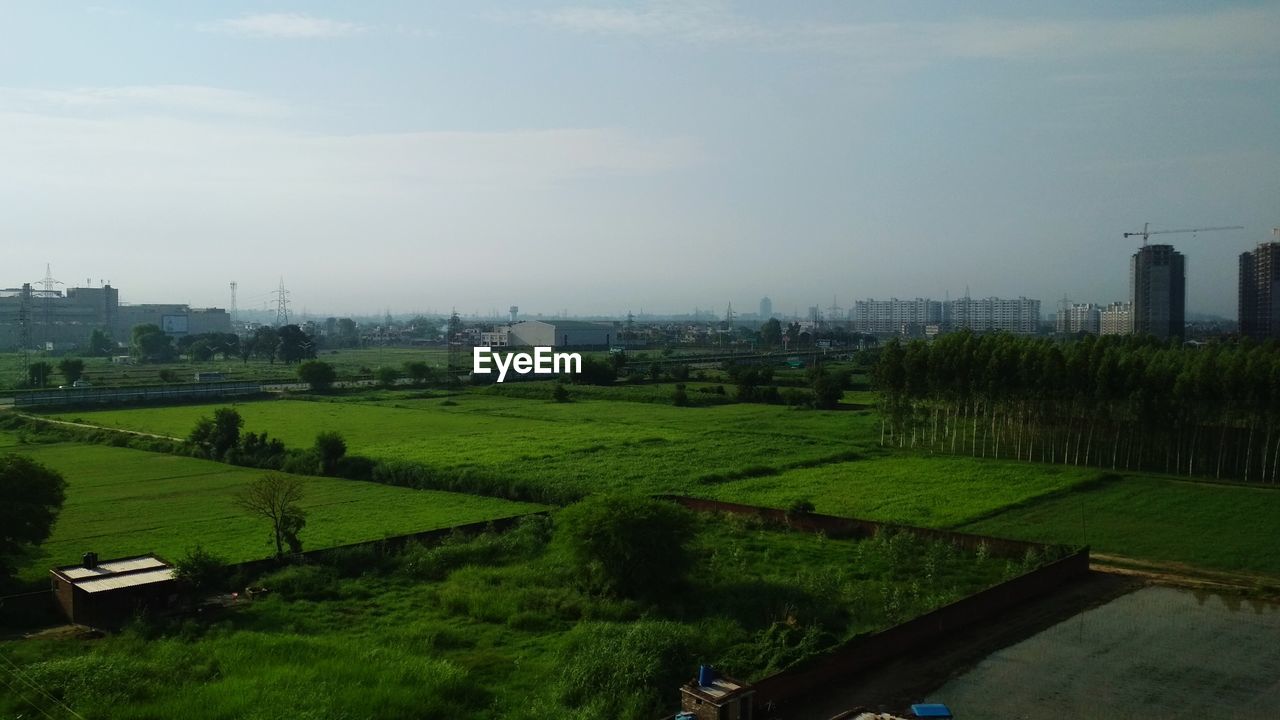 Scenic view of agricultural field against sky