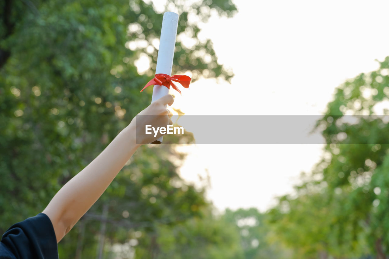 Cropped hand of woman holding diploma against trees