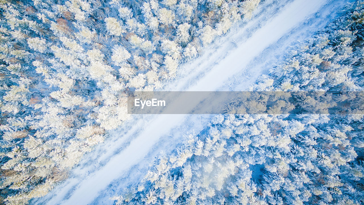 Aerial view of snow covered road amidst trees in forest