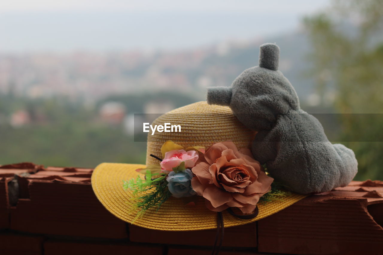 Close-up of stuffed toy and hat on table