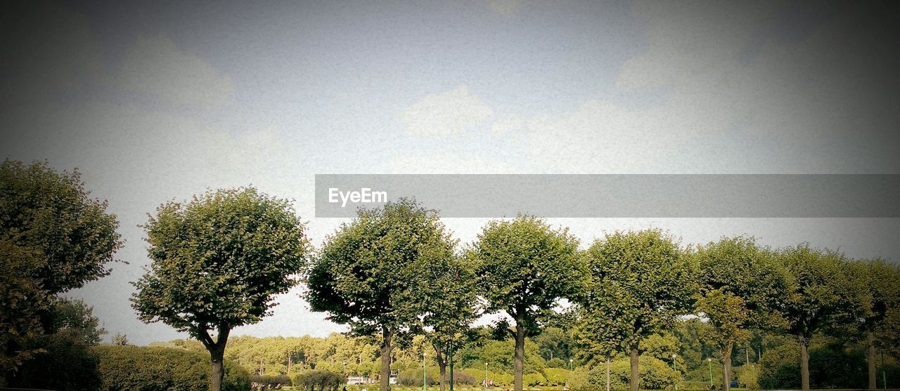 Treelined against sky