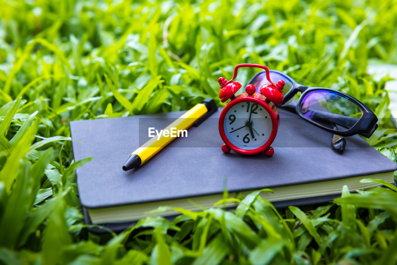 CLOSE-UP OF CLOCK ON BOOK WITH GRASS