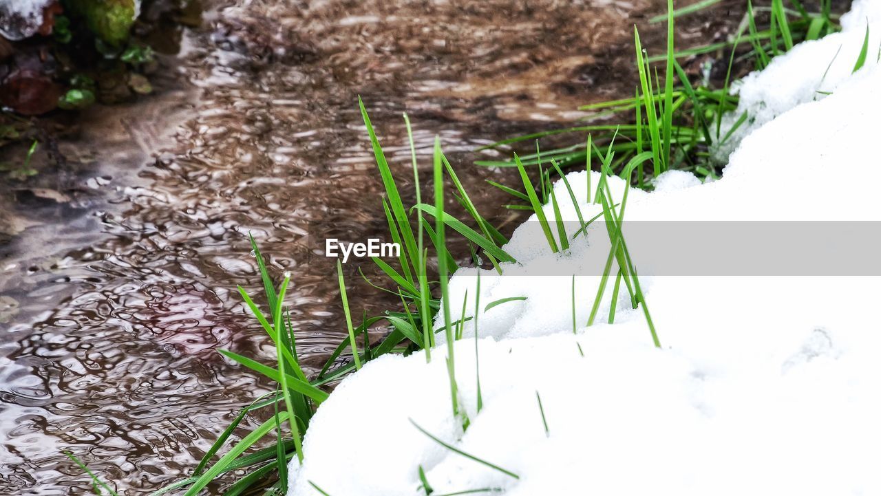 CLOSE-UP OF SNOW ON FIELD