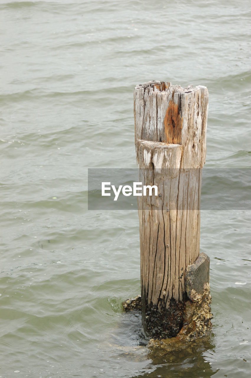 CLOSE-UP OF WOOD ON SHORE