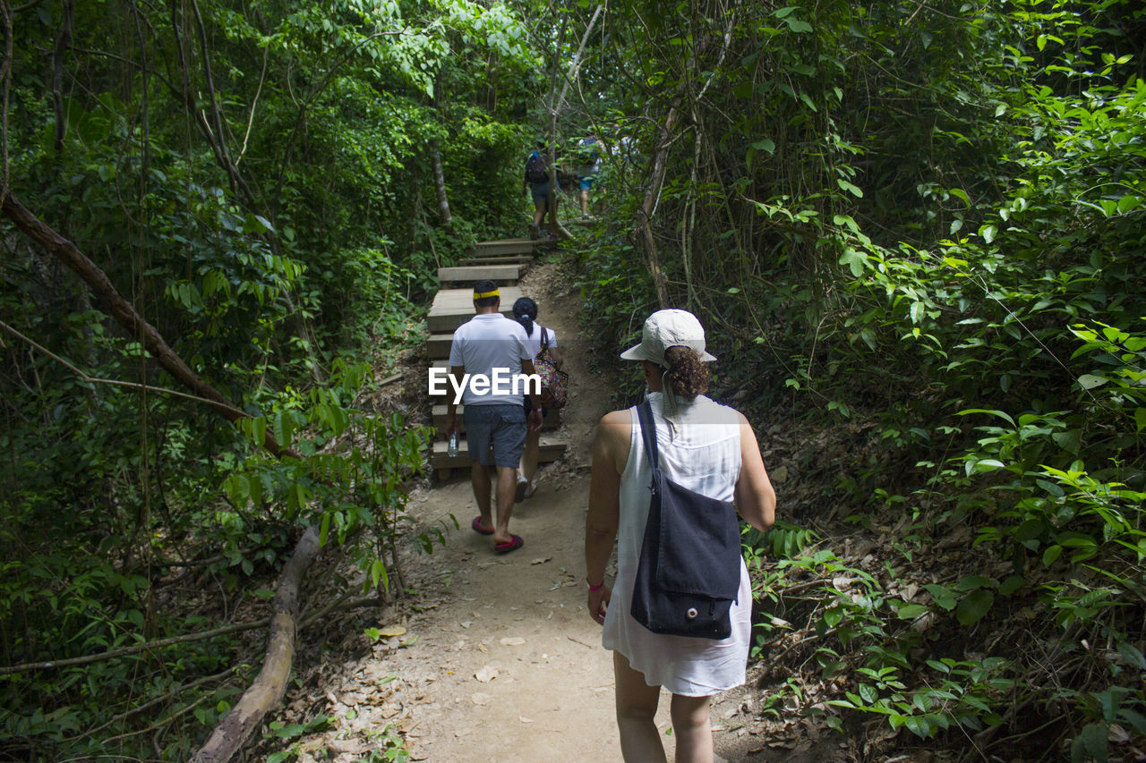 Rear view of friends walking on footpath in forest