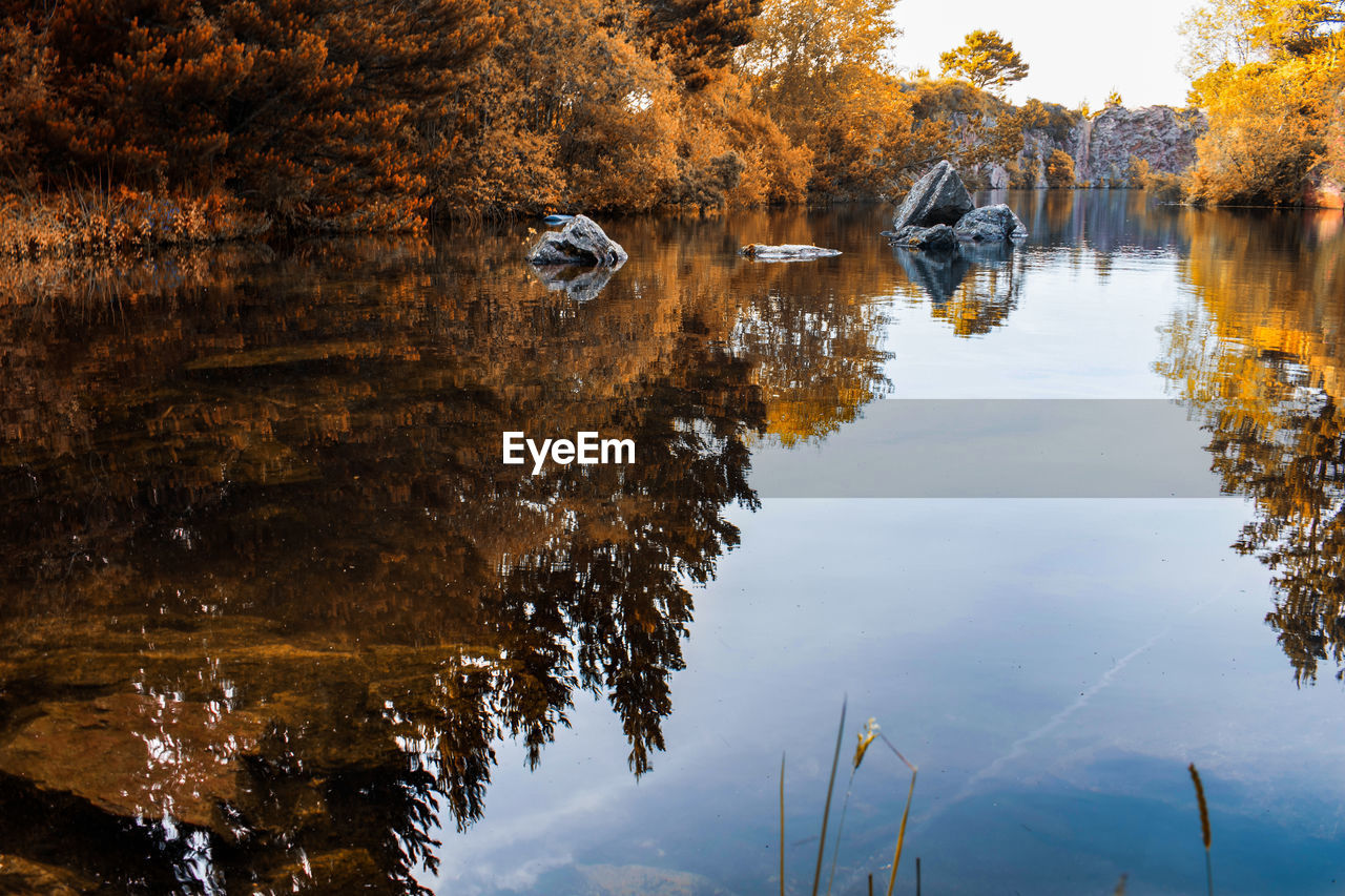 REFLECTION OF TREES IN WATER