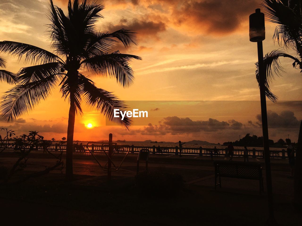 SILHOUETTE PALM TREES AT BEACH AGAINST SKY DURING SUNSET