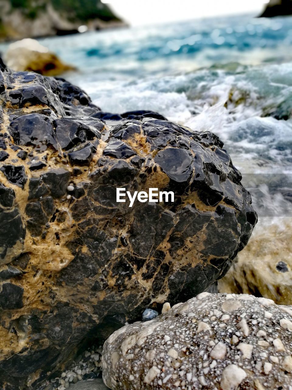 CLOSE-UP OF CRAB ON ROCK AT BEACH