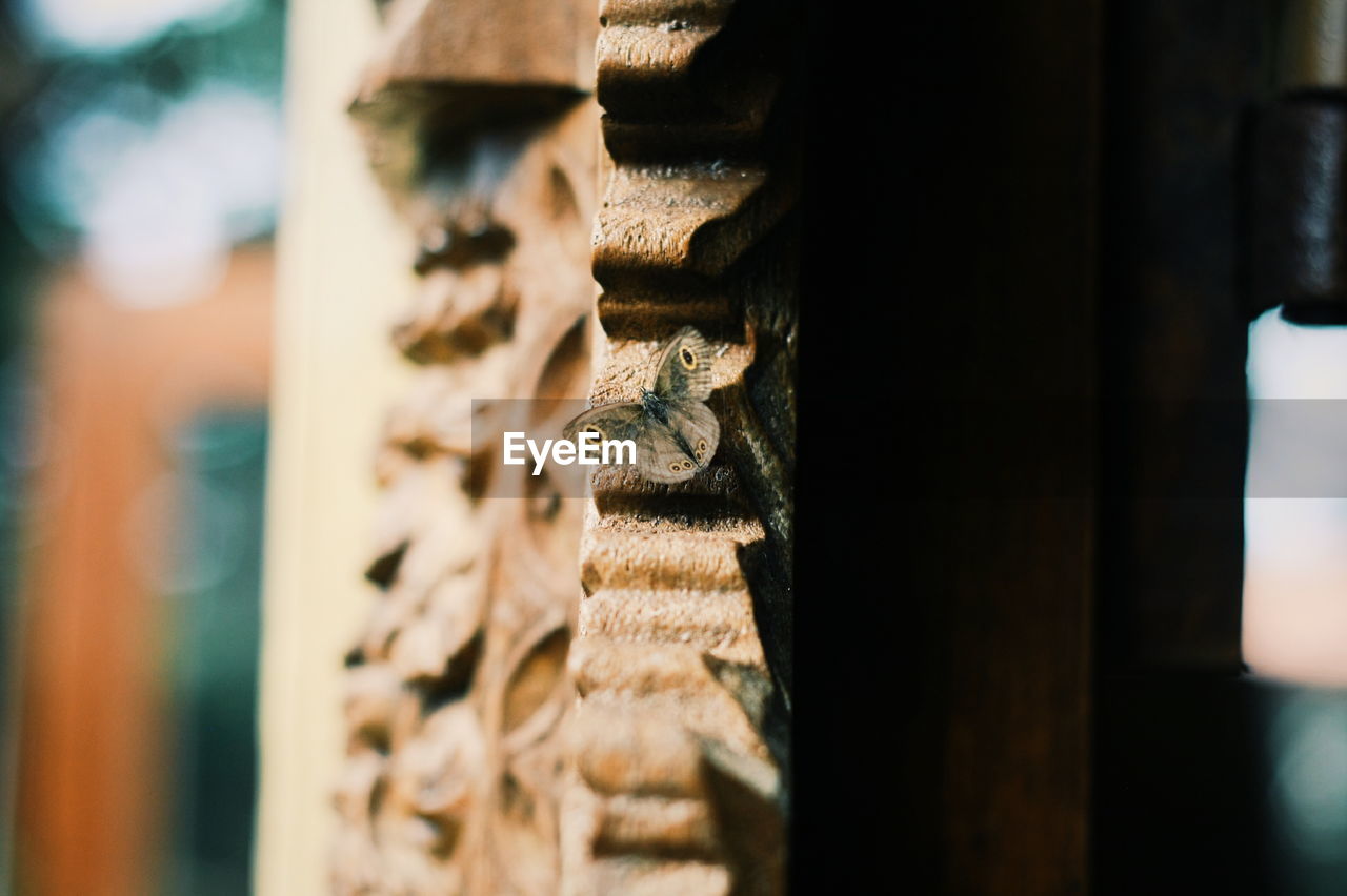 Close-up of butterfly on wooden carvings