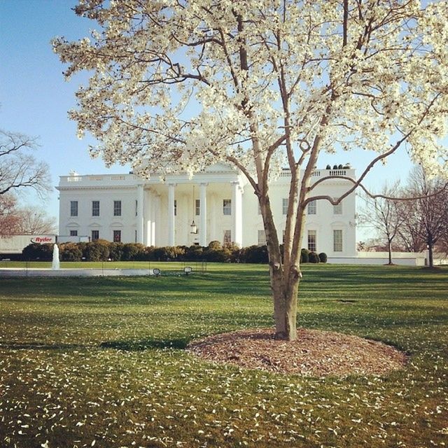 TREES IN PARK