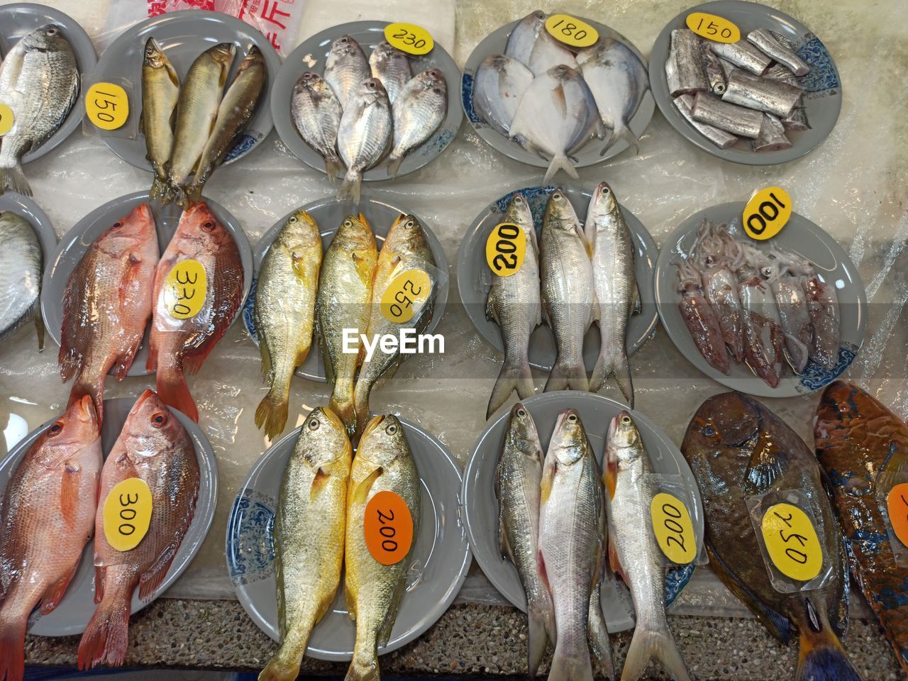 Fish for sale at market stall