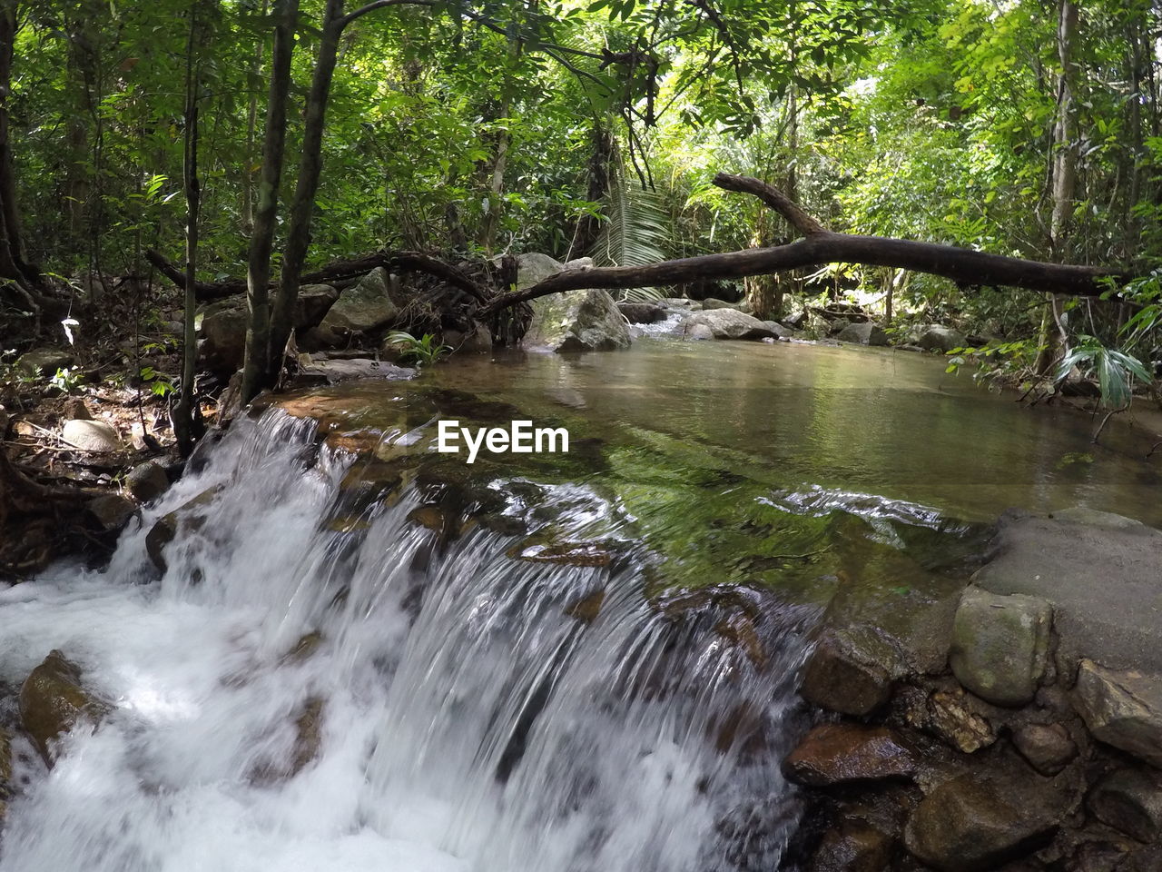 SCENIC VIEW OF RIVER FLOWING THROUGH ROCKS