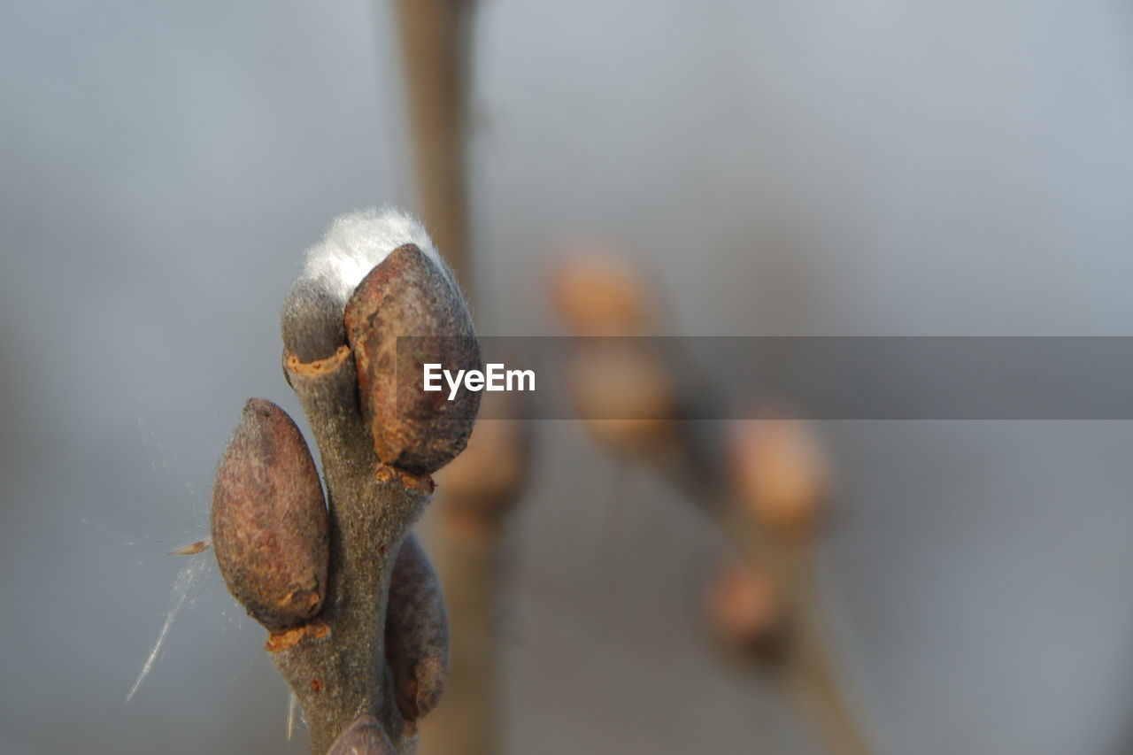 CLOSE-UP OF RUSTY METAL ON CHAIN