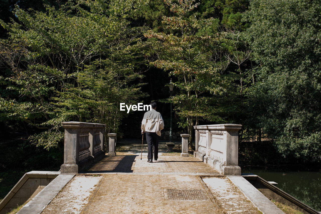 Rear view of man walking on bridge amidst trees