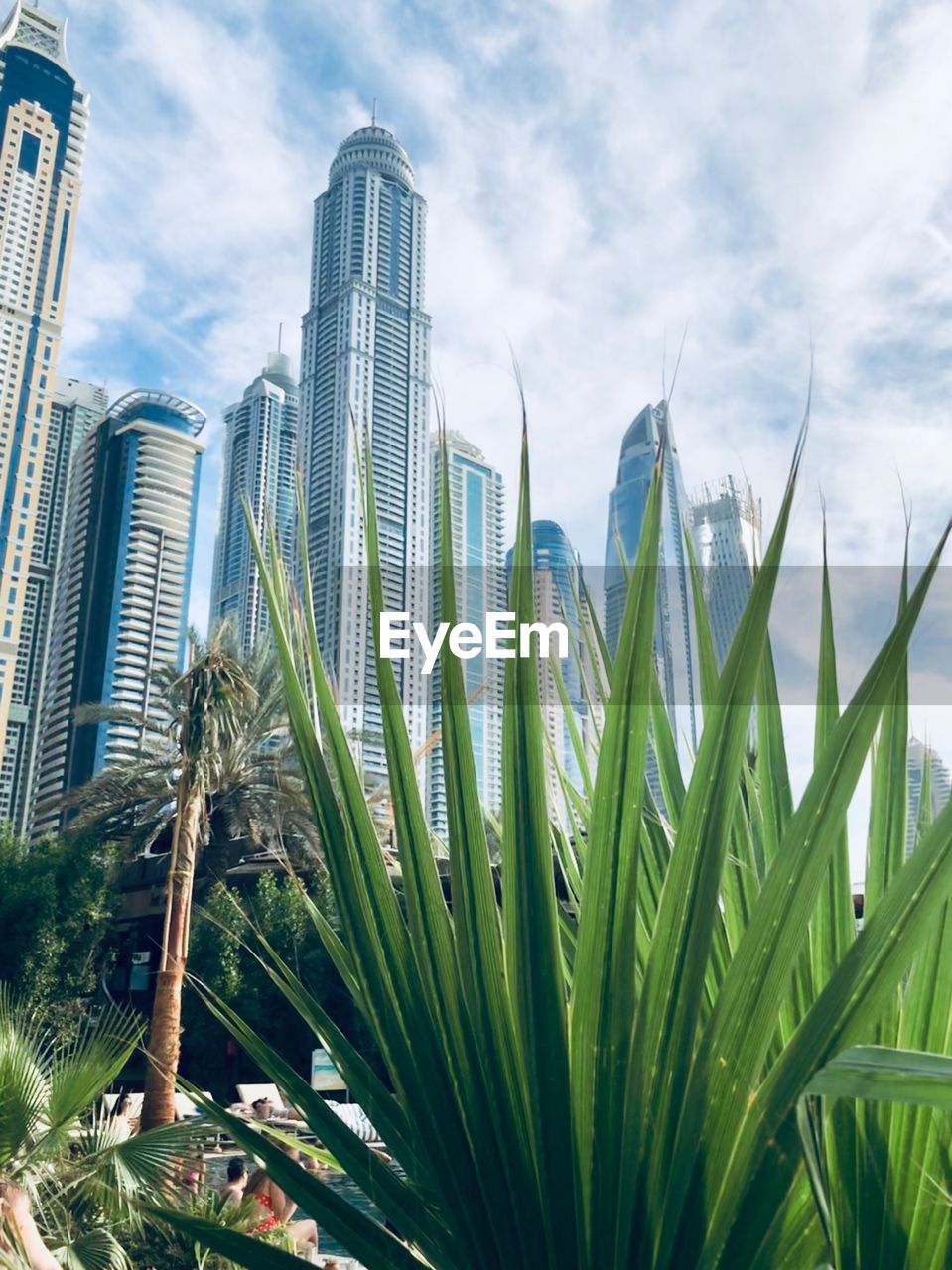 Low angle view of palm trees against building 