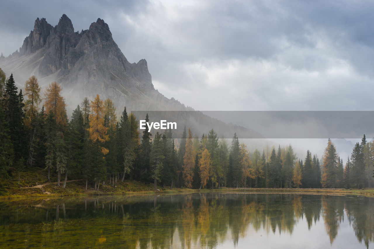 Scenic view of lake by trees against sky