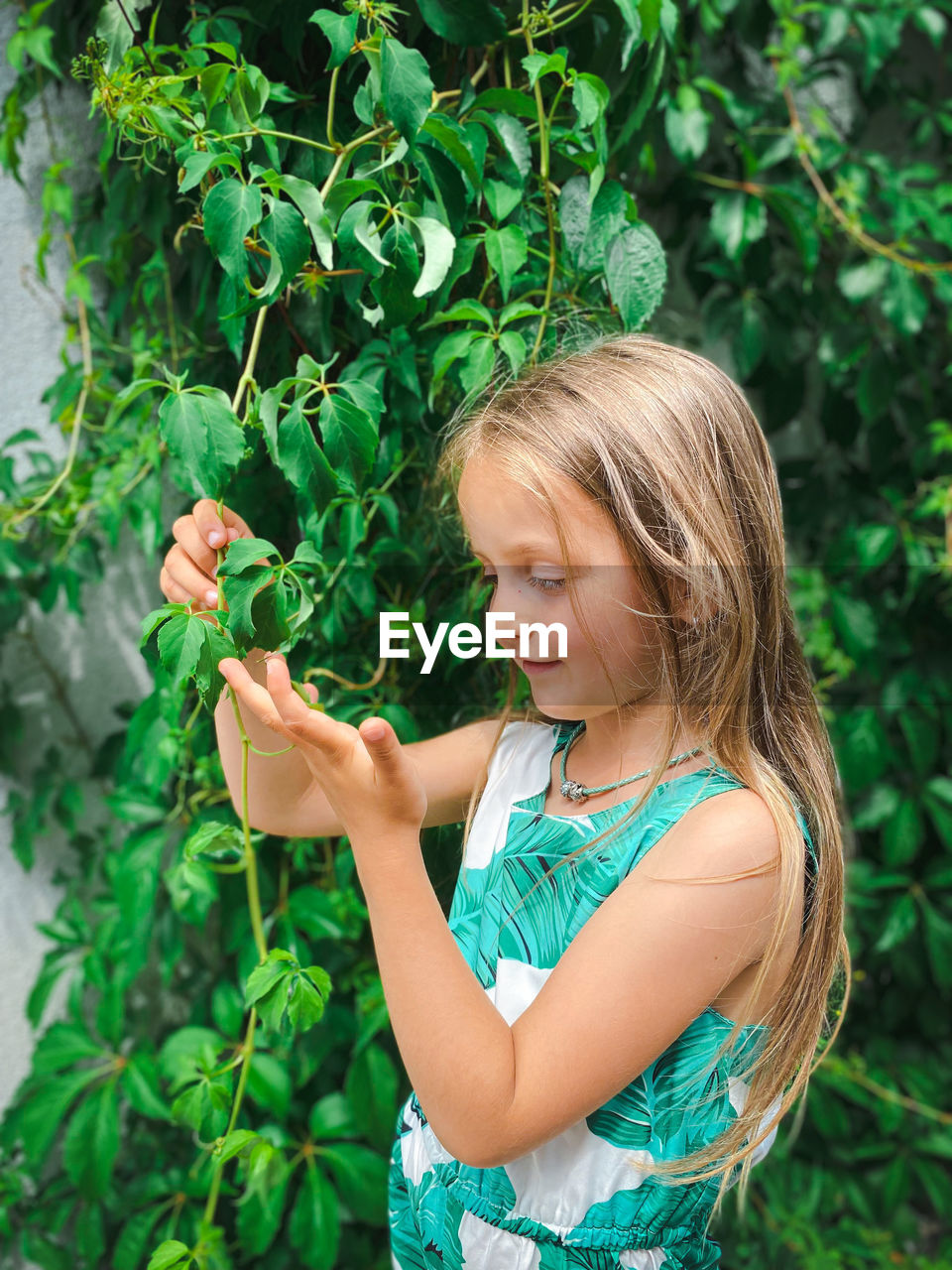 Low angle view of girl holding plant