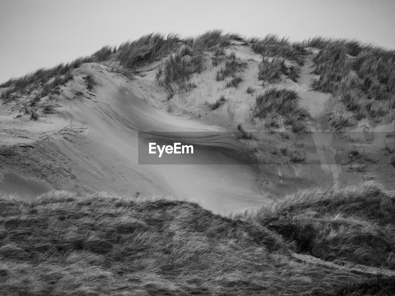 black and white, environment, scenics - nature, landscape, monochrome, monochrome photography, beauty in nature, snow, nature, land, mountain, wave, no people, sky, white, water, rock, non-urban scene, tranquility, day, outdoors, plant, sea, coast, winter, motion, tranquil scene, travel, cold temperature, travel destinations