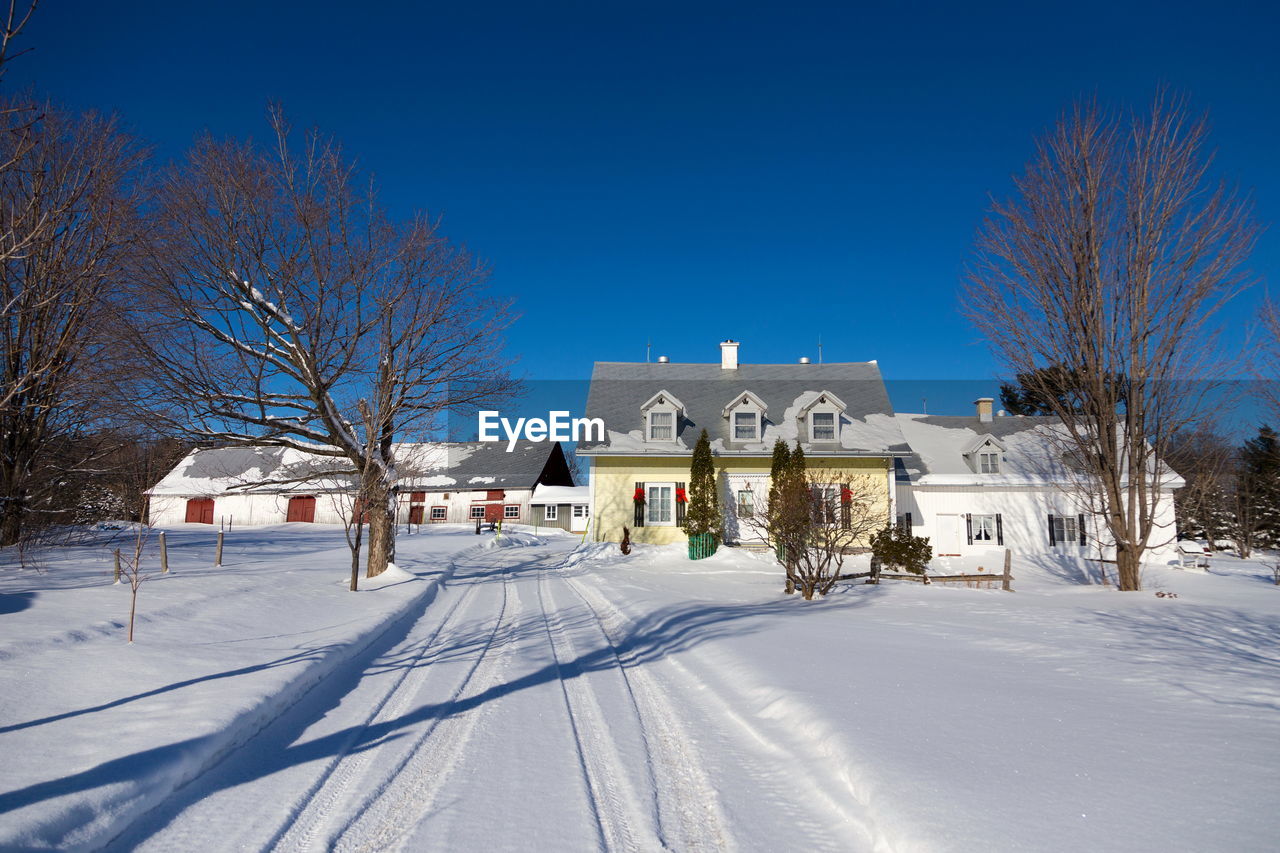 SNOW COVERED HOUSES AND TREES AGAINST BLUE SKY