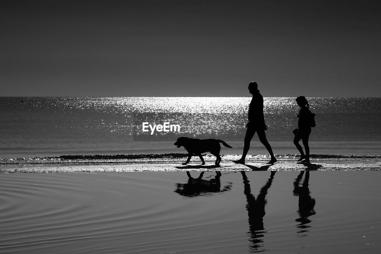 Silhouette people on beach against sky