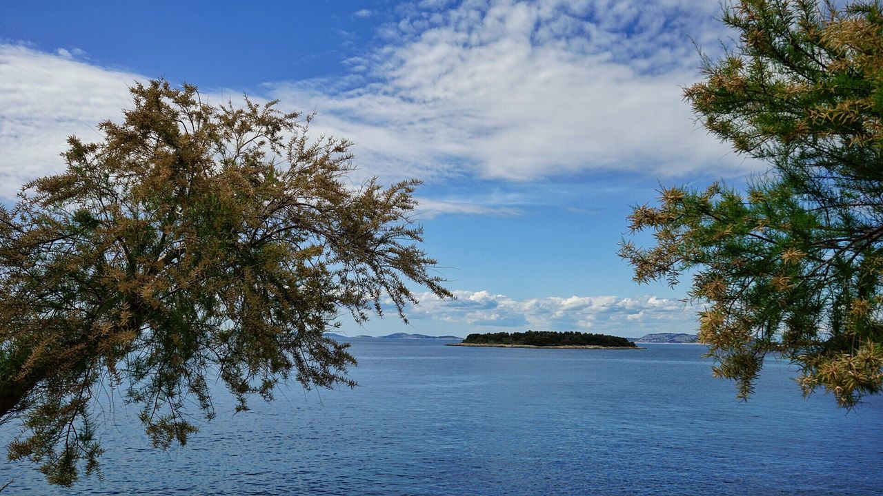 SCENIC VIEW OF SEA AND TREES