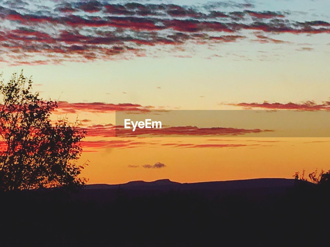 SILHOUETTE TREES ON LANDSCAPE AGAINST SKY AT SUNSET